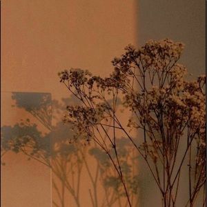 Meet your Posher, Peaches